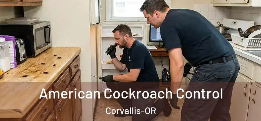 American Cockroach Control Corvallis-OR