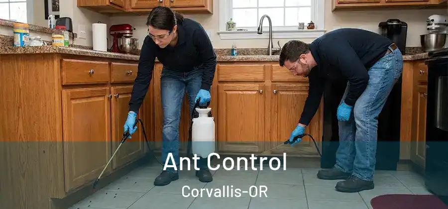 Ant Control Corvallis-OR