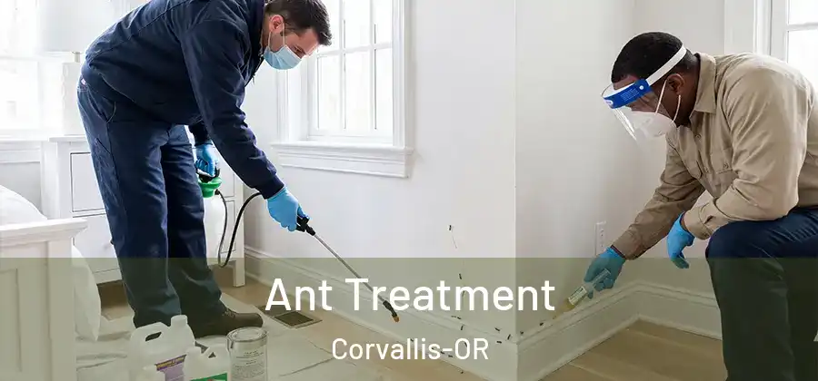 Ant Treatment Corvallis-OR