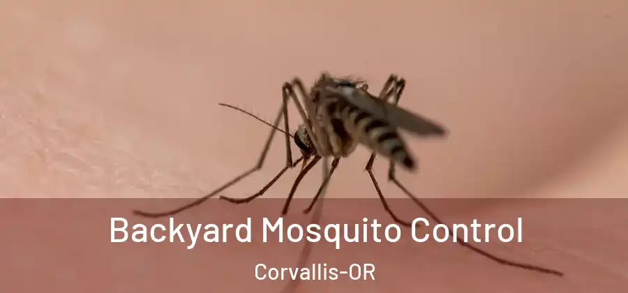  Backyard Mosquito Control Corvallis-OR