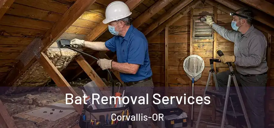  Bat Removal Services Corvallis-OR
