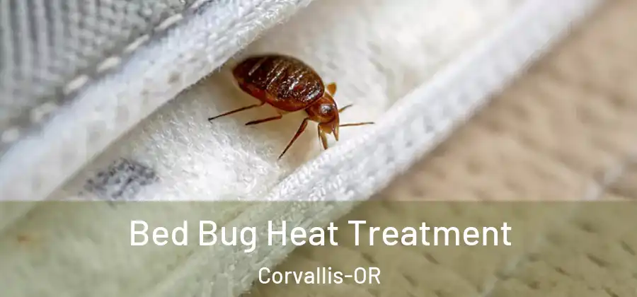  Bed Bug Heat Treatment Corvallis-OR