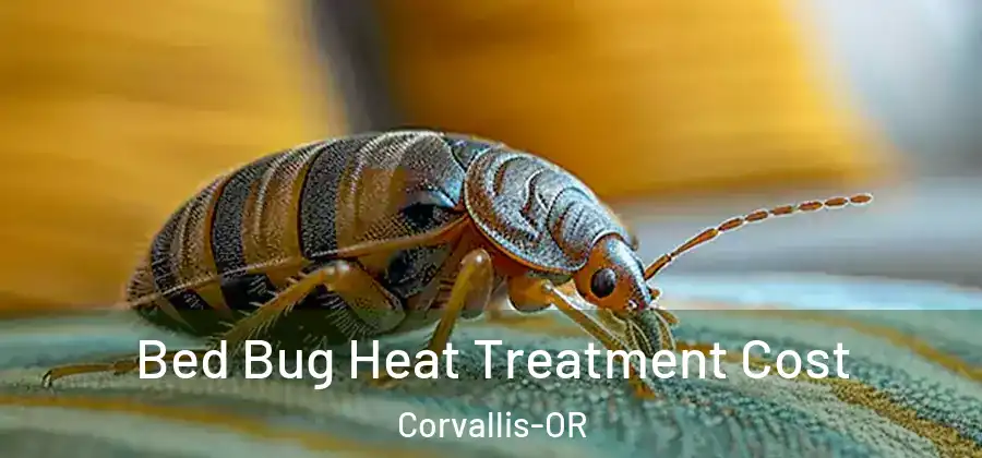 Bed Bug Heat Treatment Cost Corvallis-OR