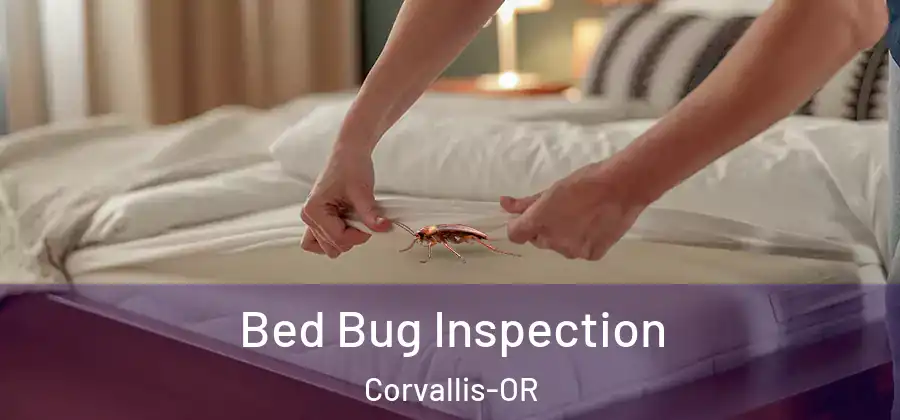  Bed Bug Inspection Corvallis-OR