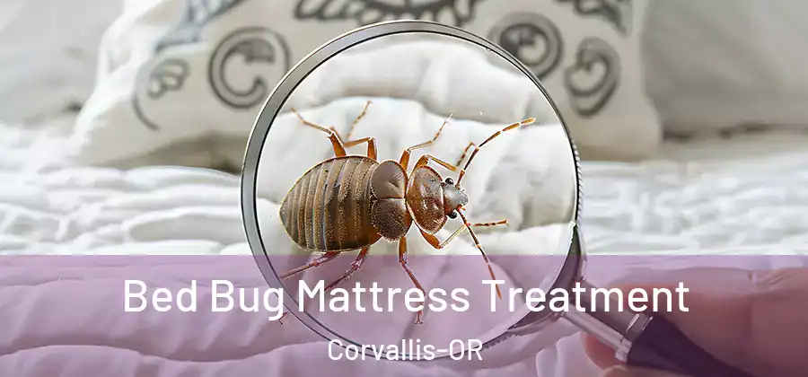  Bed Bug Mattress Treatment Corvallis-OR