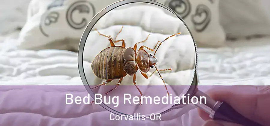  Bed Bug Remediation Corvallis-OR