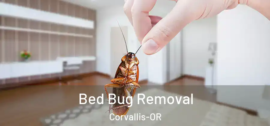Bed Bug Removal Corvallis-OR