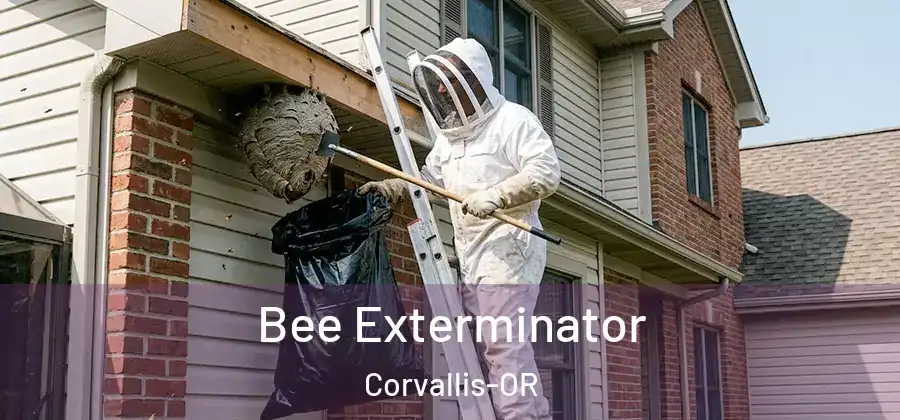 Bee Exterminator Corvallis-OR