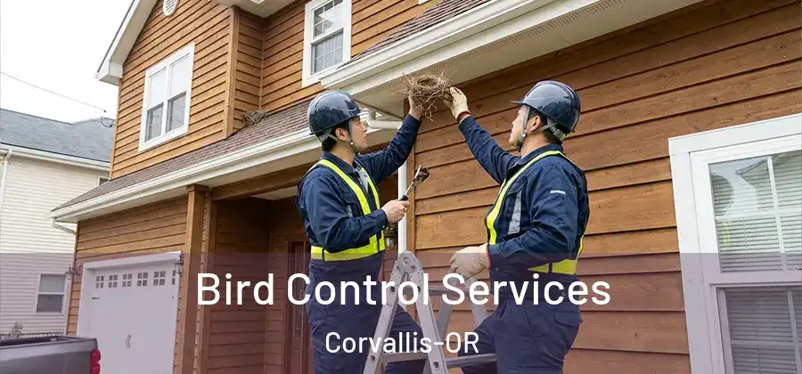 Bird Control Services Corvallis-OR