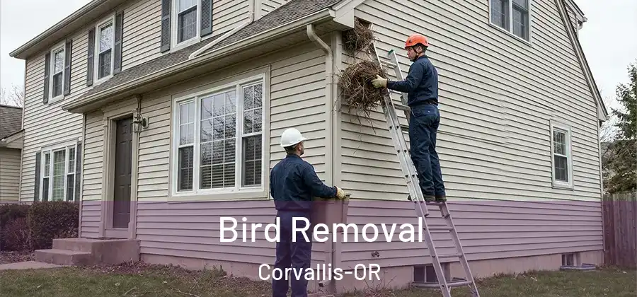  Bird Removal Corvallis-OR