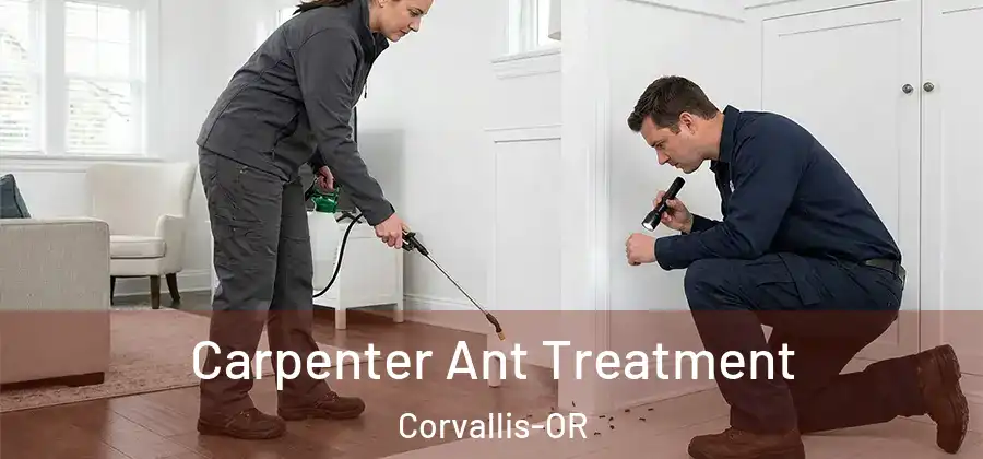  Carpenter Ant Treatment Corvallis-OR