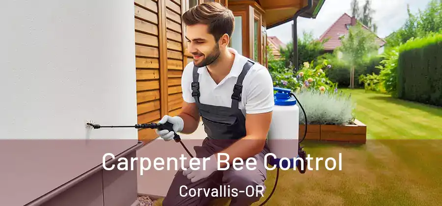 Carpenter Bee Control Corvallis-OR