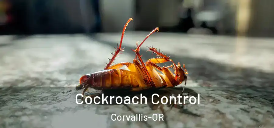 Cockroach Control Corvallis-OR