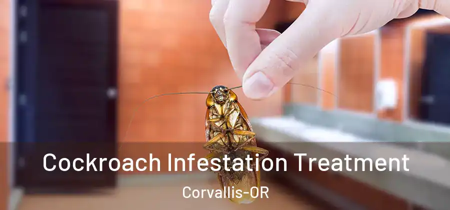  Cockroach Infestation Treatment Corvallis-OR