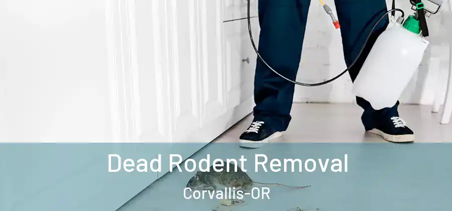  Dead Rodent Removal Corvallis-OR