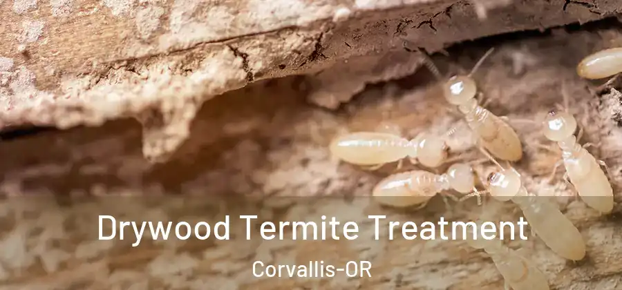 Drywood Termite Treatment Corvallis-OR