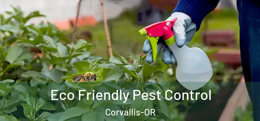 Eco Friendly Pest Control Corvallis-OR