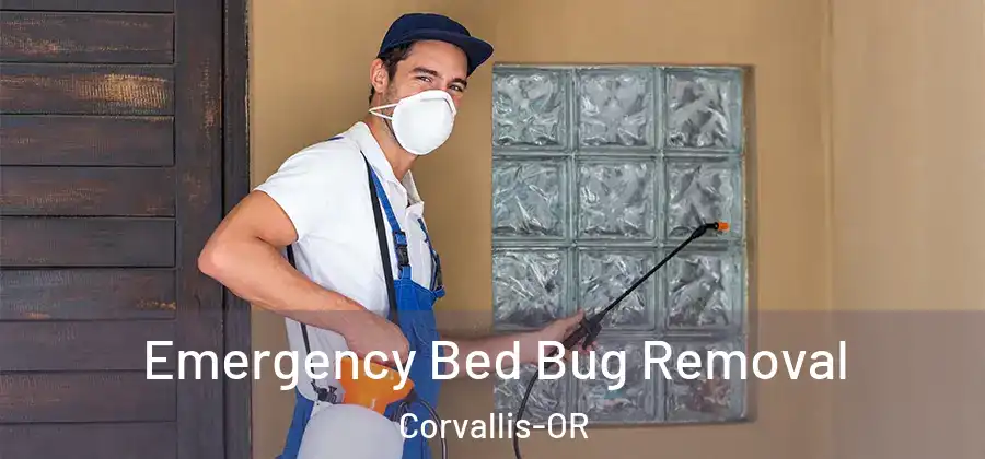 Emergency Bed Bug Removal Corvallis-OR