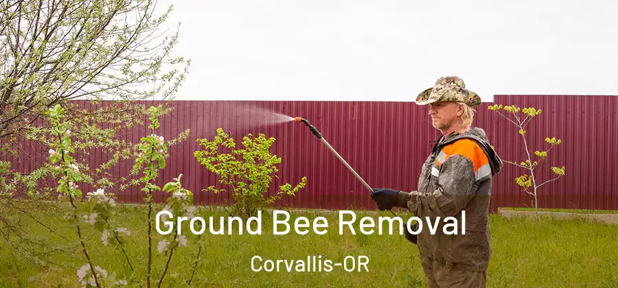  Ground Bee Removal Corvallis-OR