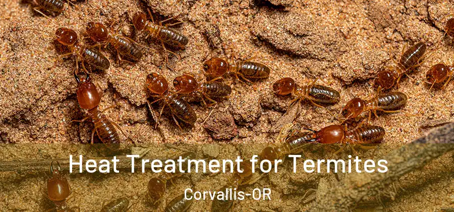  Heat Treatment for Termites Corvallis-OR