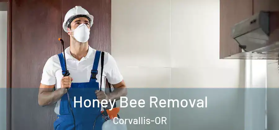 Honey Bee Removal Corvallis-OR