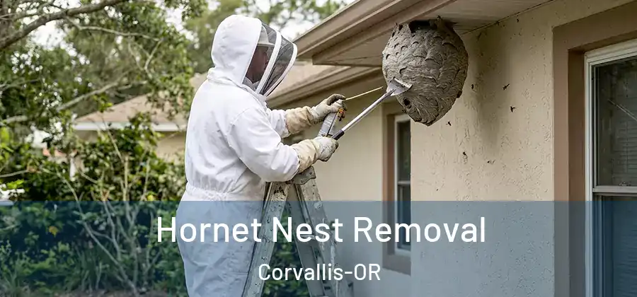 Hornet Nest Removal Corvallis-OR