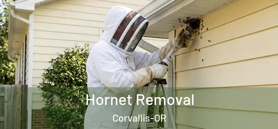  Hornet Removal Corvallis-OR
