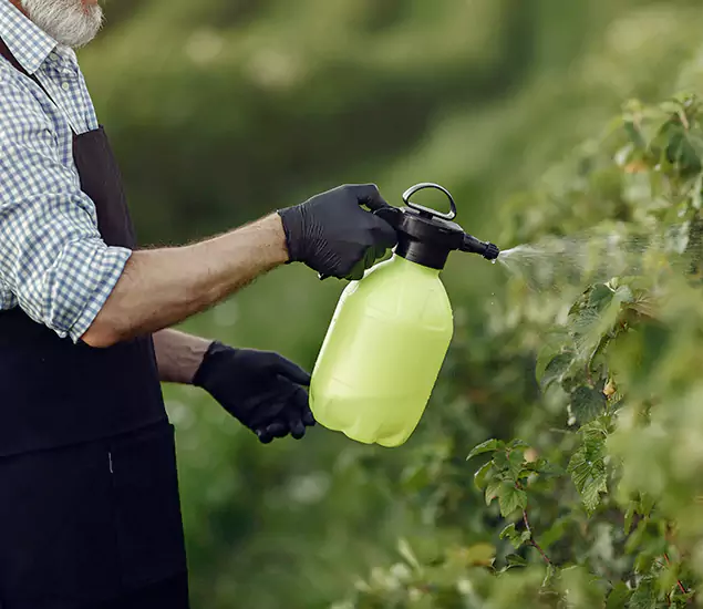 Your Proven Mosquito Treatment Company in Corvallis, OR