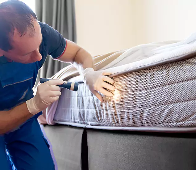 Trusted Bed Bug Cost Experts in Corvallis, OR