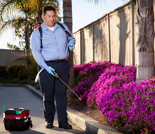 About Our Eco Safe Pest Control Experts in Corvallis, OR