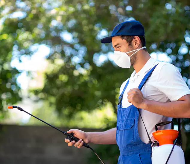 Your Trusted Flea and Tick Control in Corvallis, OR