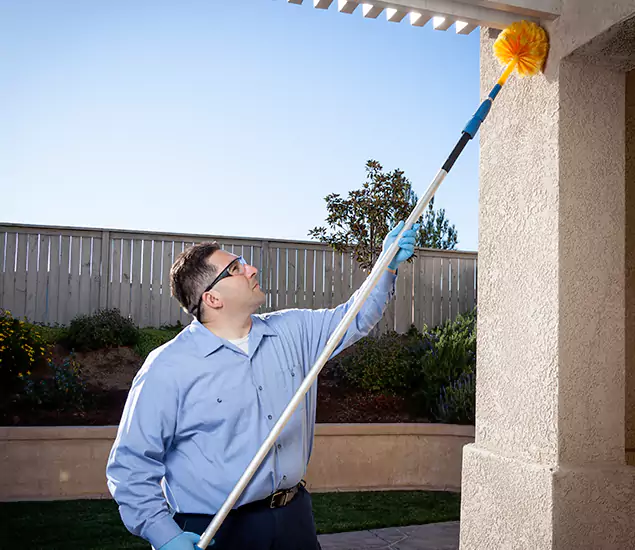 Trusted Experts in Corvallis OR for Formosan Termite Treatment and Black Termite Control