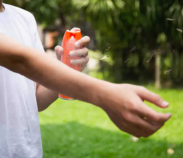 Your Best Indoor Bug Killer Team in Corvallis, OR
