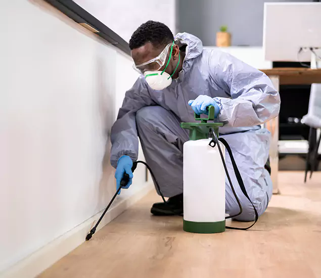 Leading Industrial Pest Control Experts Serving Corvallis, OR