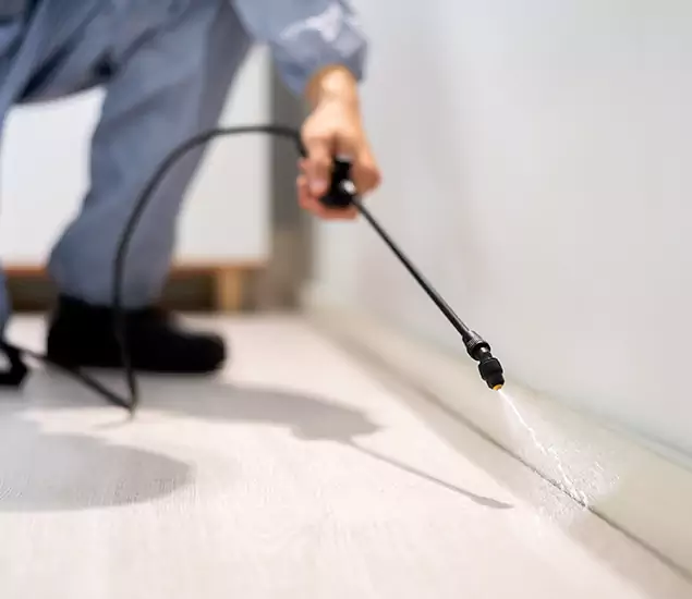 About Our Liquid Termite Treatment Experts in Corvallis, OR