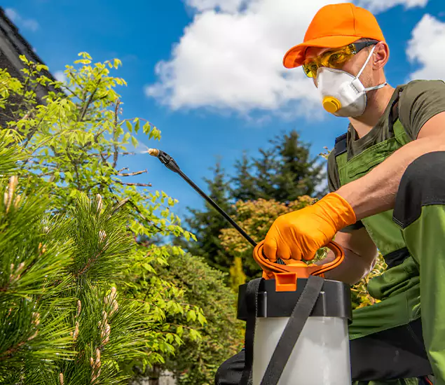 Your Mosquito Repellent Barrier Service in Corvallis, OR