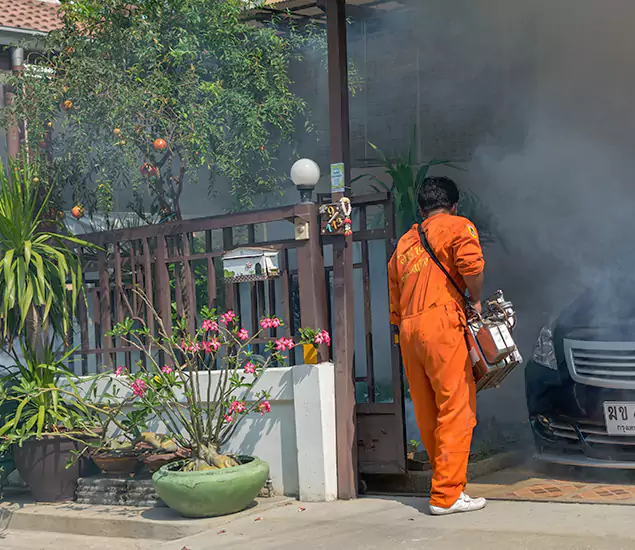 Your Proven Mosquito Fogging Company in Corvallis, OR