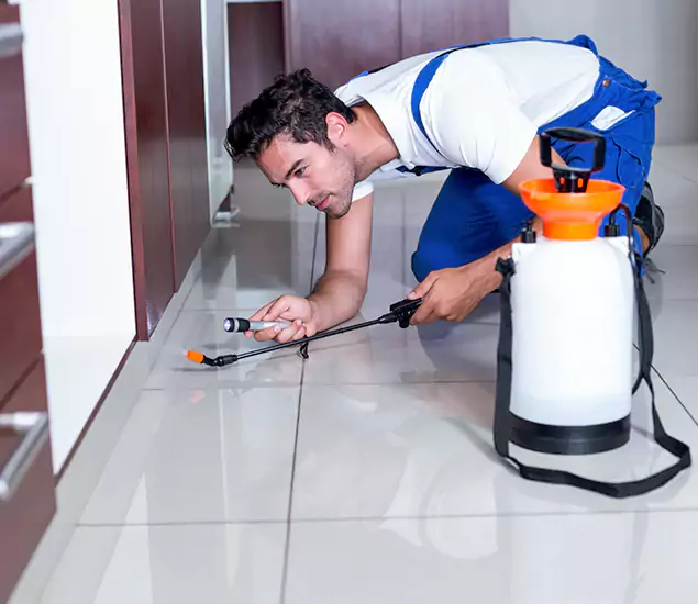 Reliable Professional Mouse Removal: Your Best Mouse Control Company in Corvallis, OR