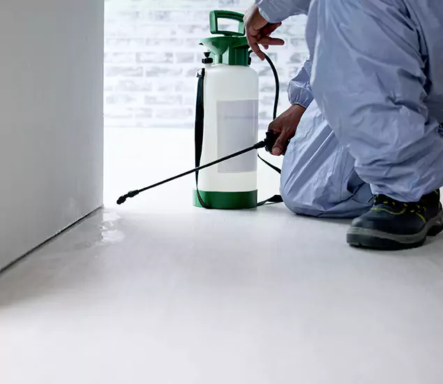 Affordable Pest Control Experts in Corvallis, OR