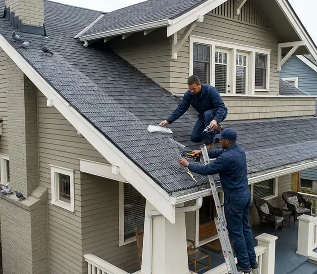 Your Pigeon Control Experts in Corvallis, OR