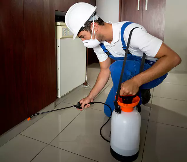 Advanced Termite Pre Treatment Experts in Corvallis, OR