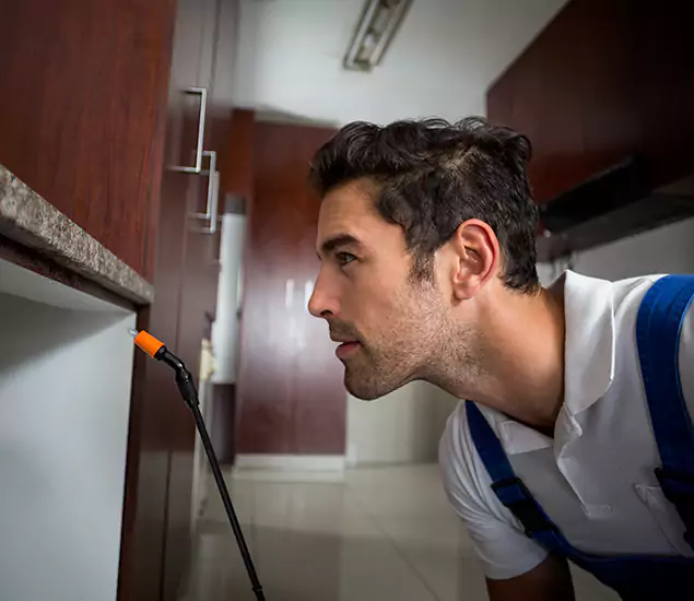 Expert Rodent in Attic Removal: Your Proven Pest Specialists in Corvallis, OR