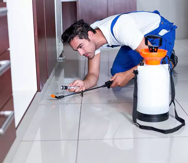 Advanced Slab Termite Treatment Experts You Can Trust&nbsp;in Corvallis, OR