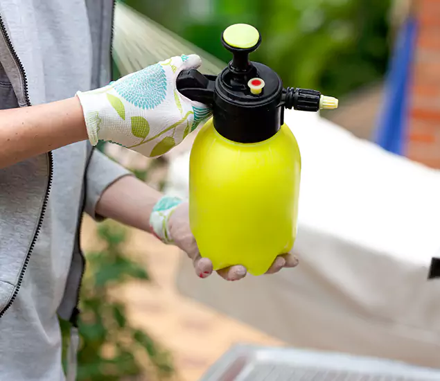 Skilled Residential Small Black Ant Service in Corvallis, OR