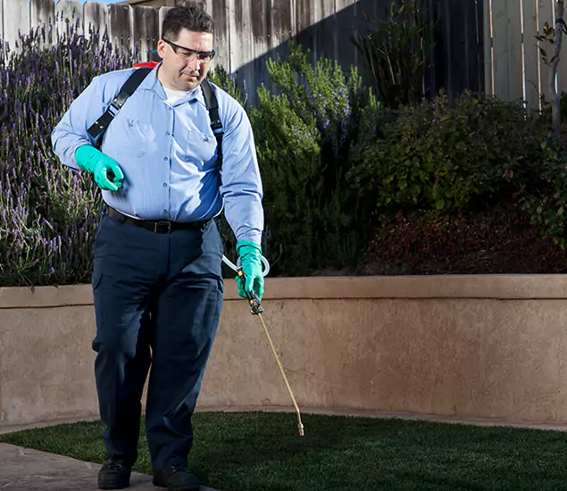 Reliable Termite Barrier Treatment Experts in Corvallis, OR