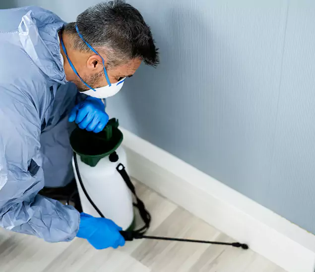 Reliable Termite Cost Experts in Corvallis, OR