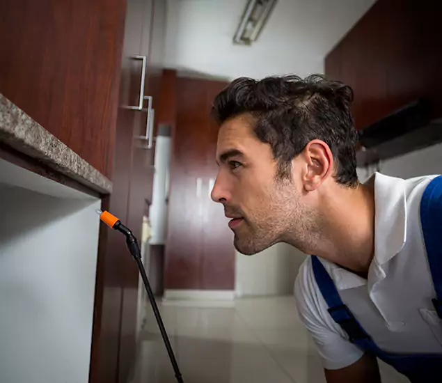 Termite Inspection Cost Experts You Can Trust in Corvallis, OR