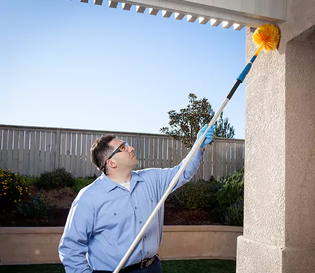 Your Trusted Wasp Removal Company in Corvallis, OR