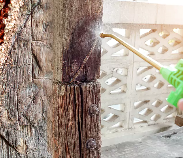 About Wood Termite Treatment Services in Corvallis, OR