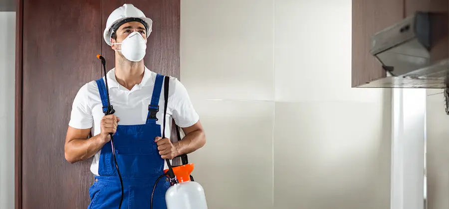 Per Room Bed Bug Cost in Corvallis